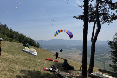 Bild des Monats Juli 2025