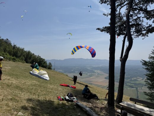 Bild des Monats Juli 2025