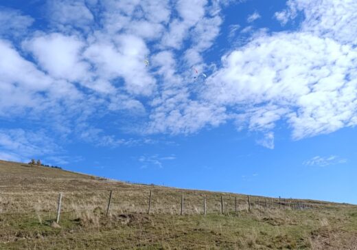 Bild des Monats - November 2025