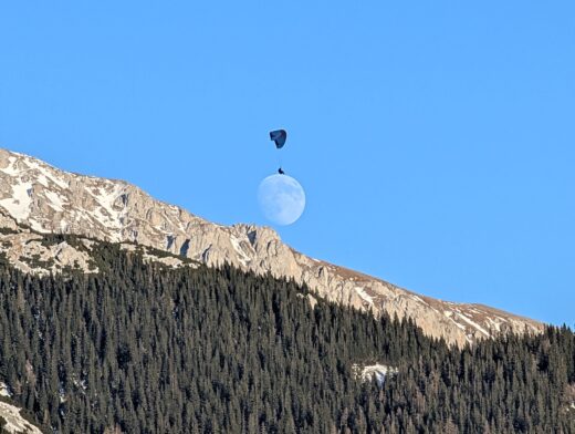 Bild des Monats 01-2026