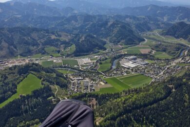 06.2026-Bild-des-Monats-Denis